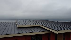 Best Sheet Metal Roofing  in Minorca, LA